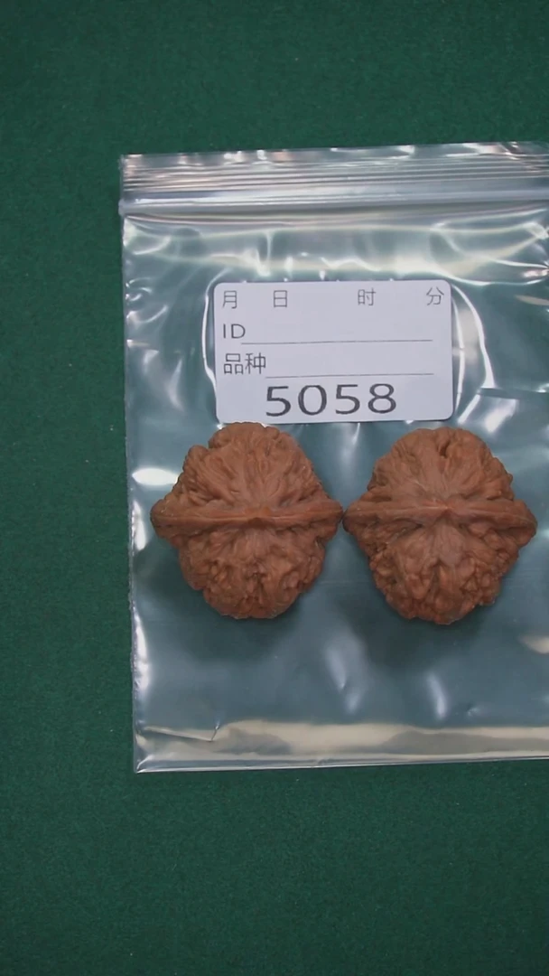 把件文玩核桃刘*阳39凤凰台