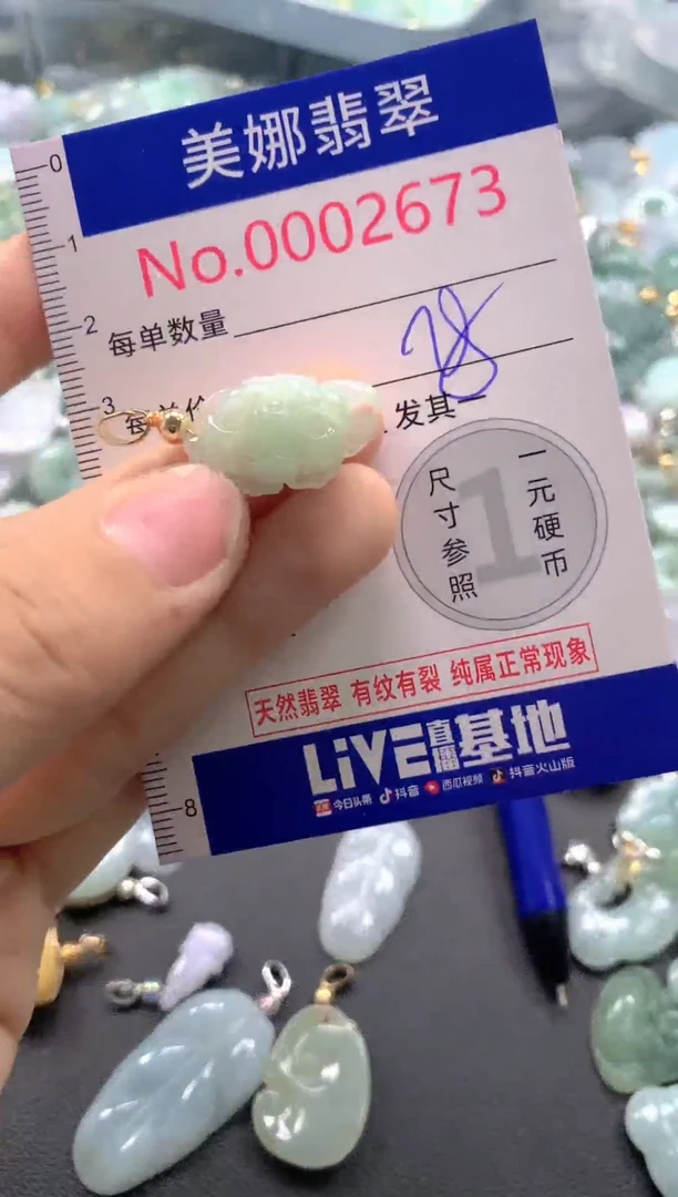 颈饰未镶嵌翡翠2673