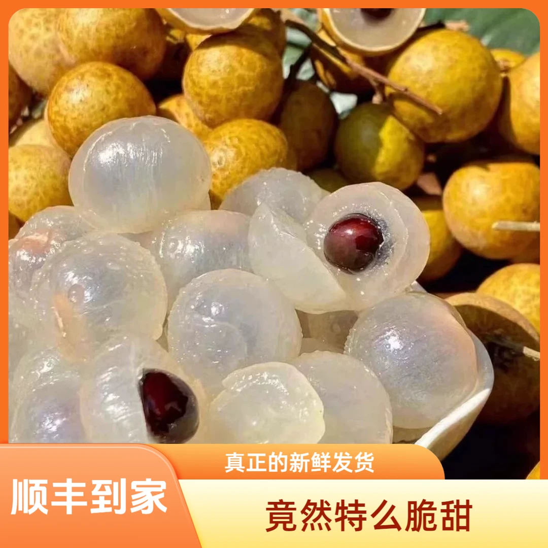 【顺丰】广西石硖龙眼新鲜现摘现发清甜多汁肉厚饱满当季水果