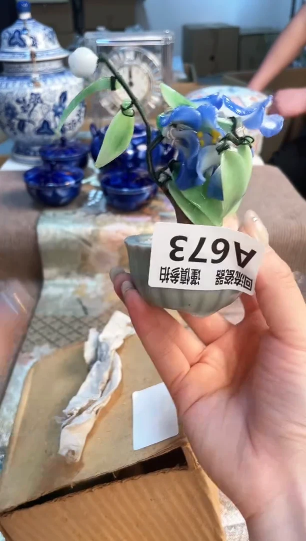 塑料3213123123123123123