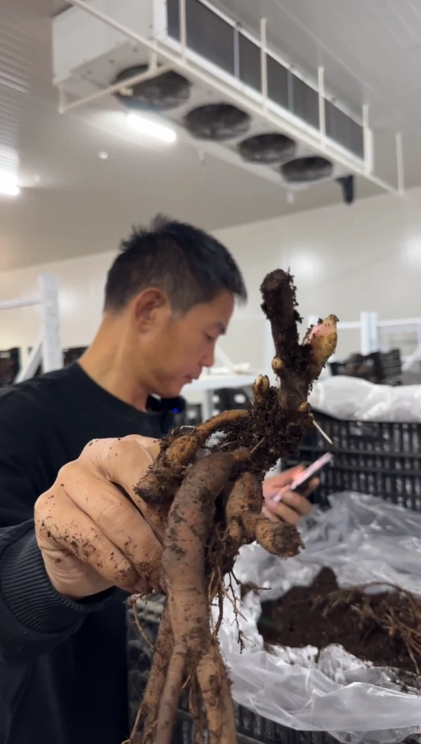 澜29.9  亨利  澜