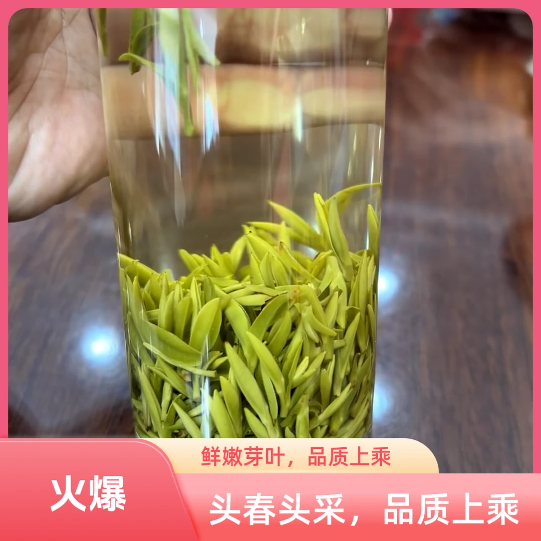 2025年新茶-安徽毛峰 小肥芽 兰花香 茶厂直发A358