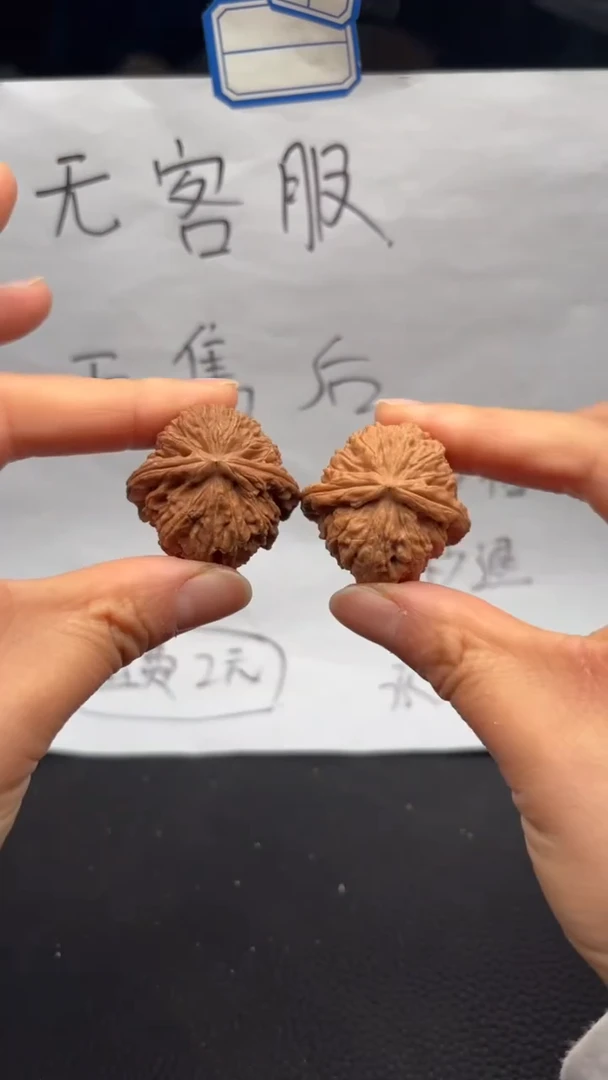 把件文玩核桃338白狮子