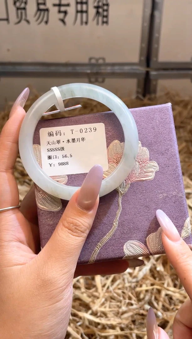 未镶嵌手镯石英质玉T0239