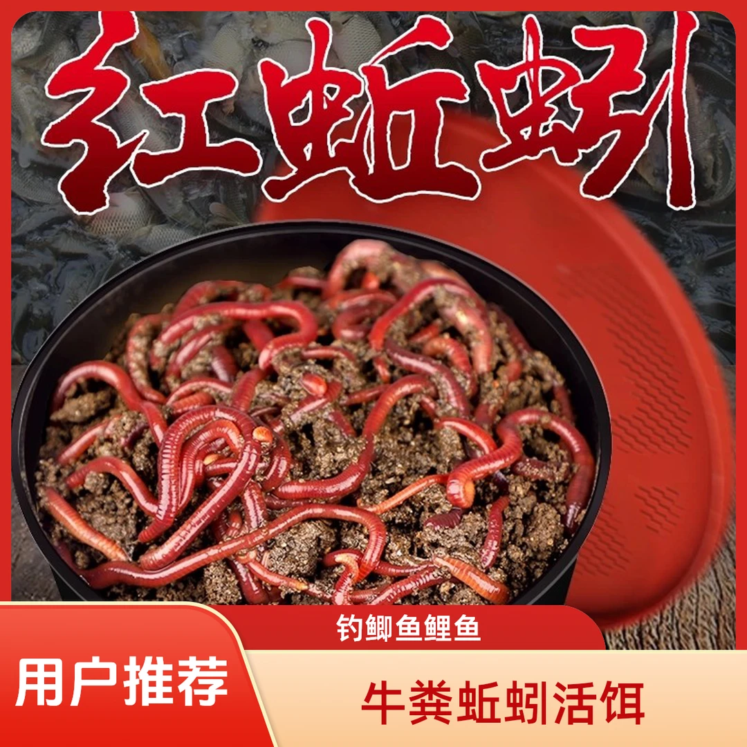 牛粪蚯蚓活饵大号鲜活红虫散装垂钓饵料适合鲫鱼野钓黑坑中通包邮