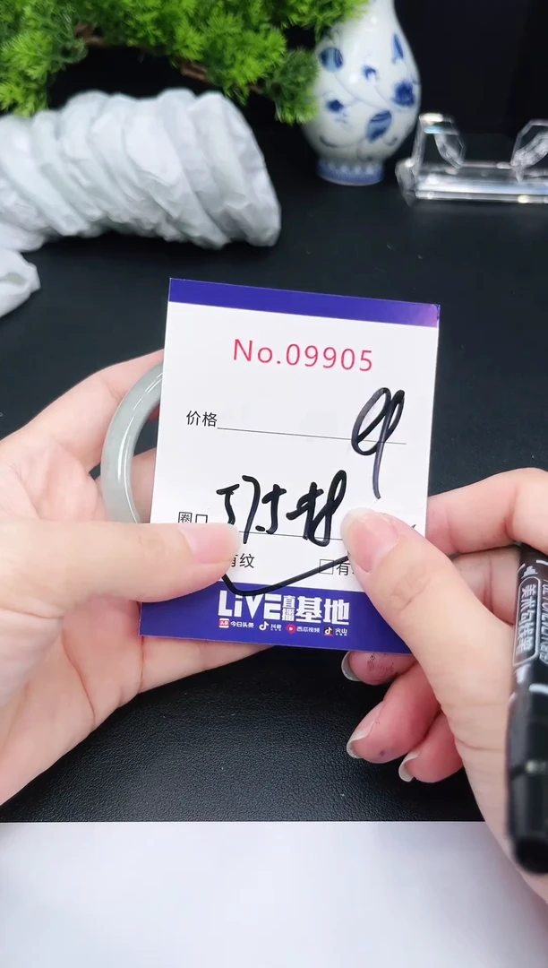 未镶嵌手镯翡翠9905