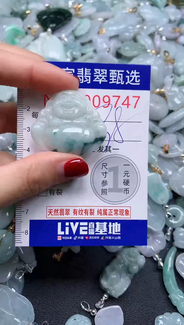 颈饰未镶嵌翡翠9747