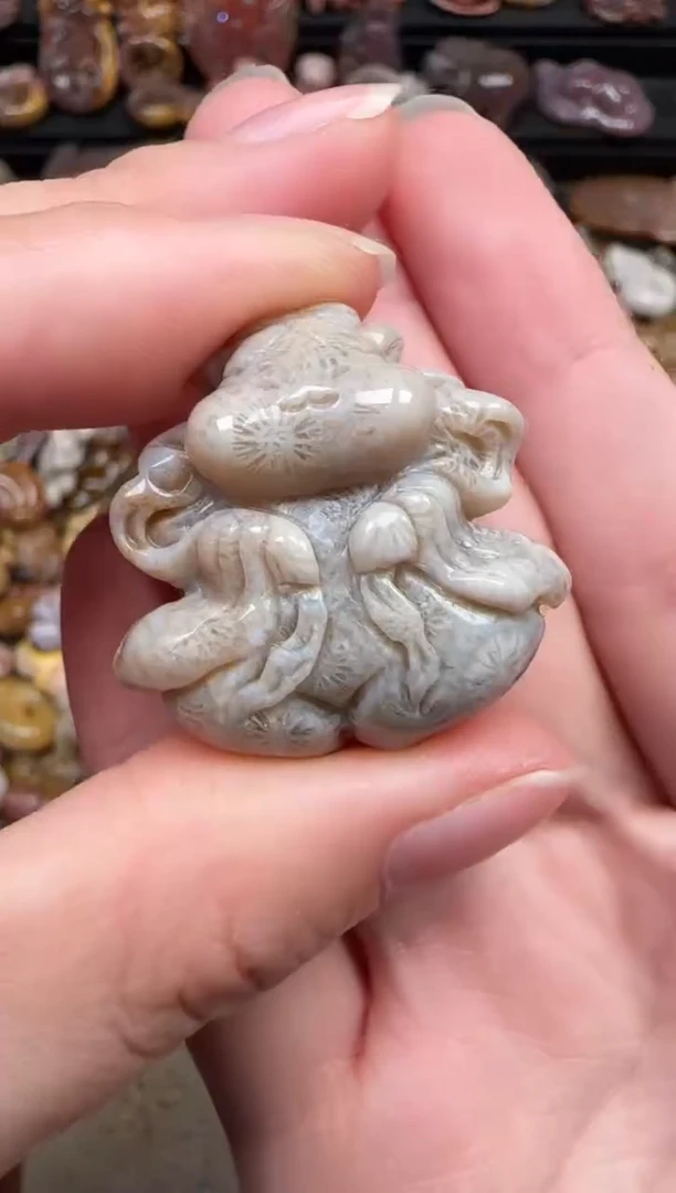 颈饰未镶嵌硅化珊瑚（珊瑚玉）048