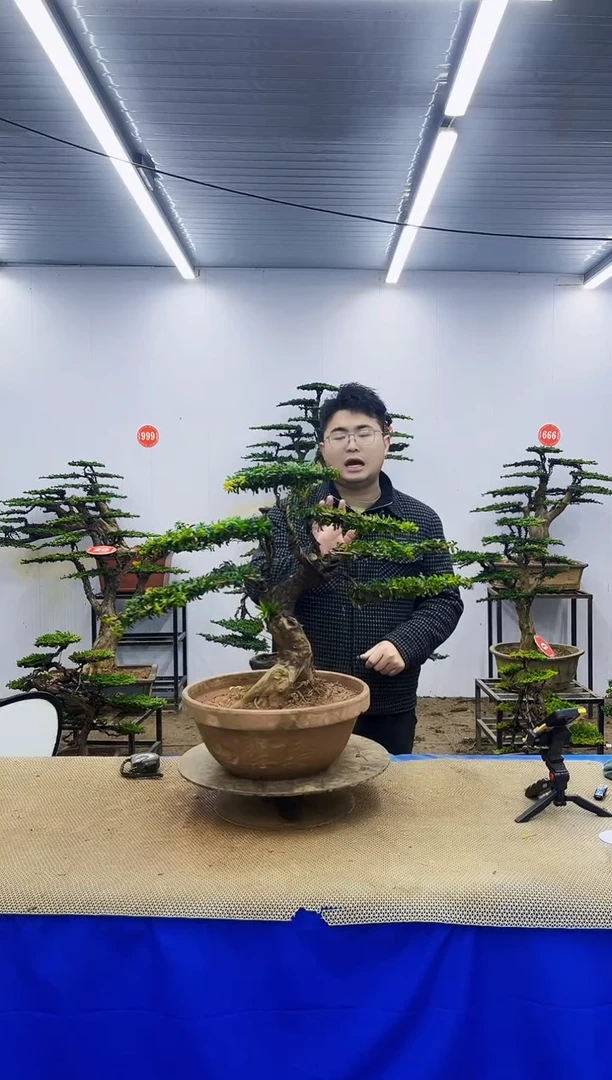 无花朵一物一拍，所见即所得