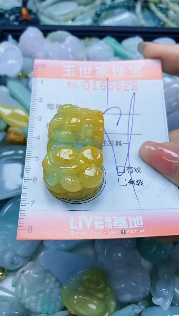 【闪购商品】翡翠颈饰未镶嵌闪购0165622