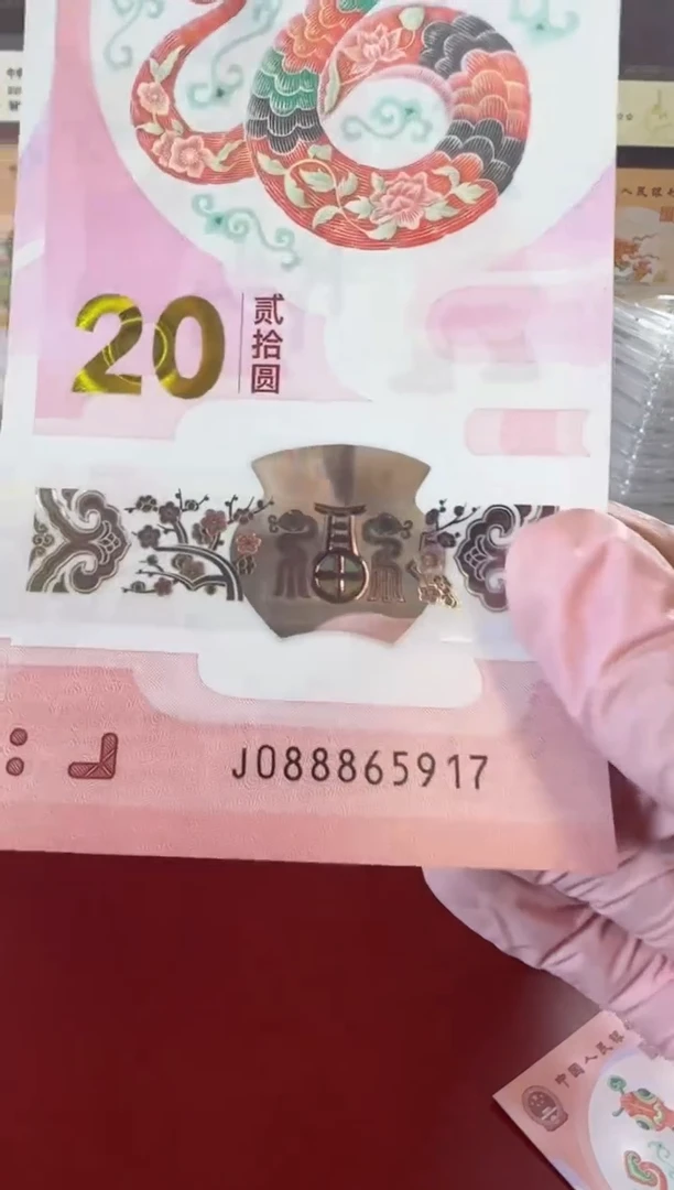 【闪购商品】塑料25蛇钞088865917单张裸