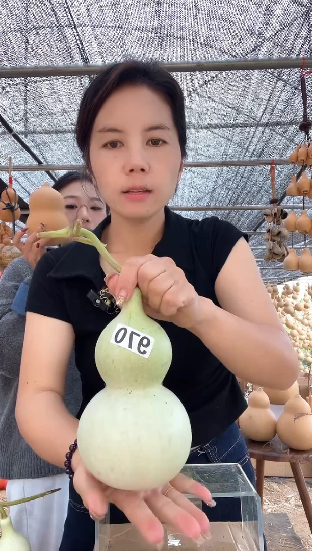 970天然葫芦摆件 一物一拍龙头不保售后微瑕疵