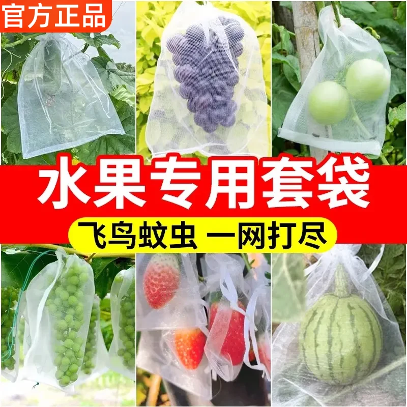 水果套袋防鸟防虫专用网袋葡萄无花果瓜果枇杷草莓杨桃子保护袋子