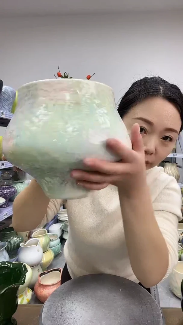 12.1陶瓷花盆直播链接高.19      口16