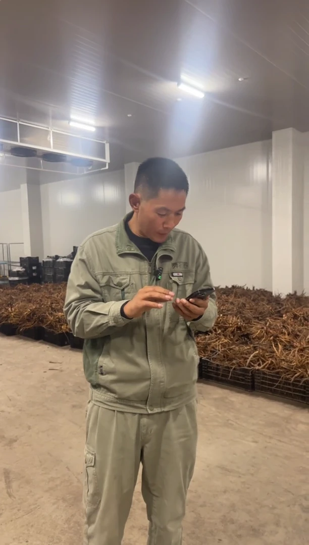啊****鱼啊我额  328  火舞