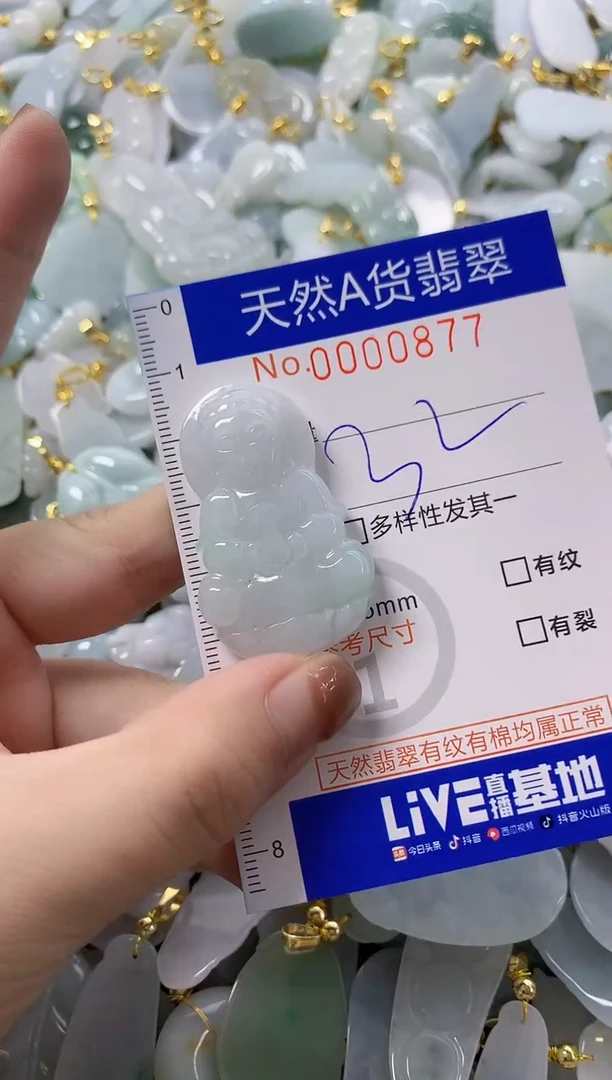 颈饰未镶嵌翡翠天然A货翡翠
