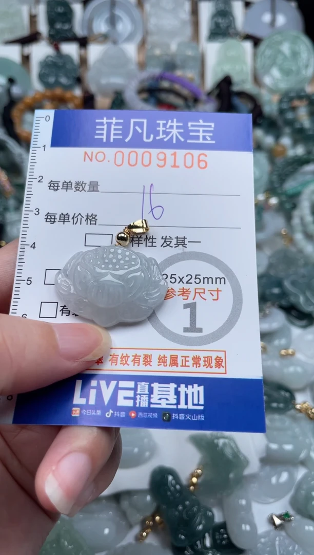 翡翠未镶嵌颈饰00..9106