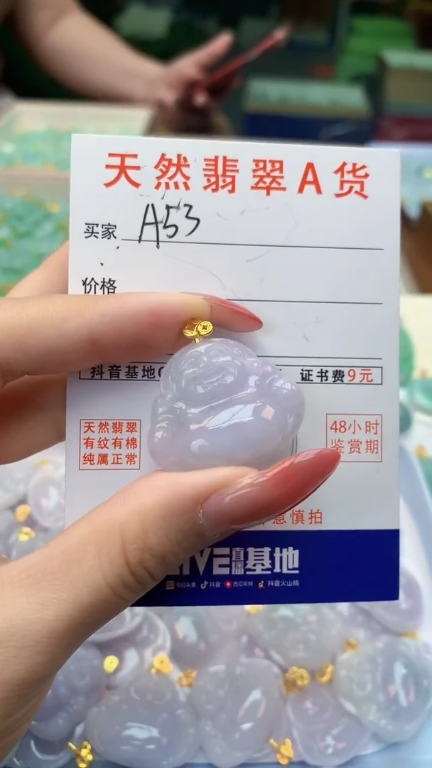 颈饰未镶嵌翡翠天然A货翡翠挂件