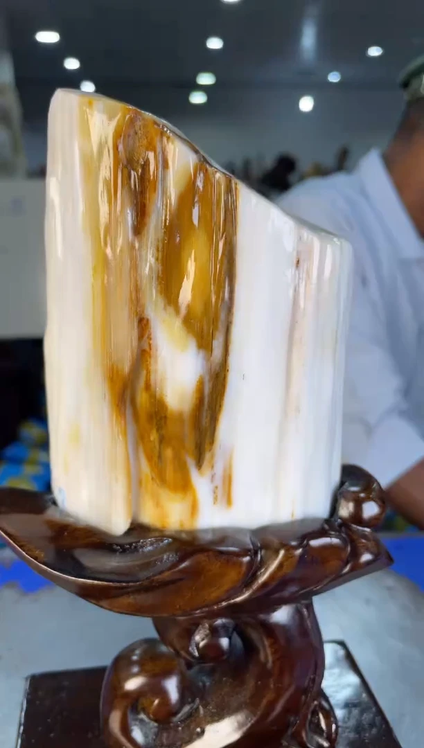 未镶嵌摆件硅化玉46