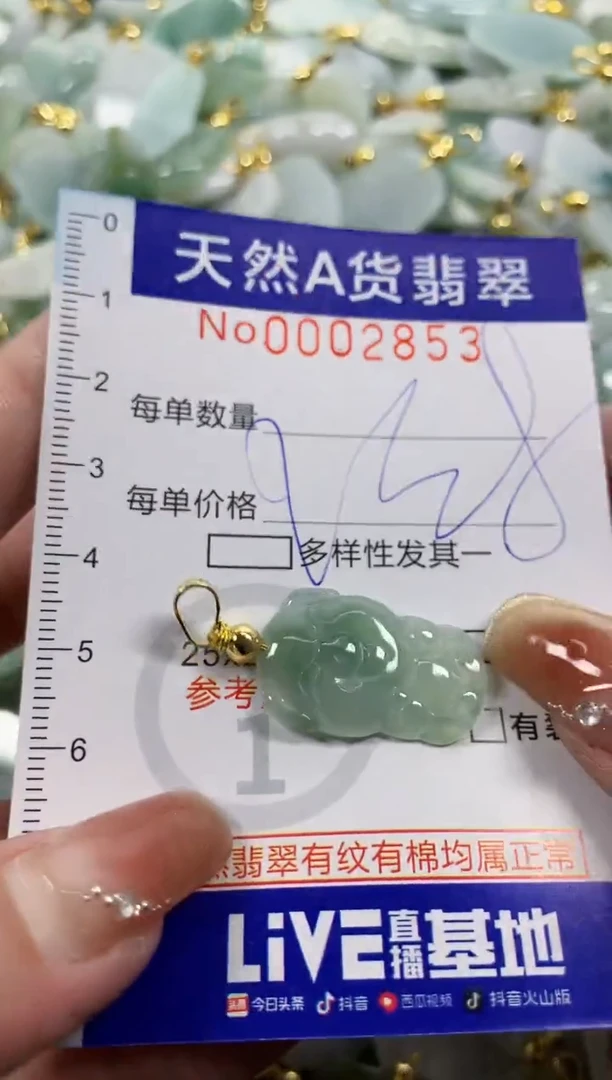 颈饰未镶嵌翡翠天然A货翡翠