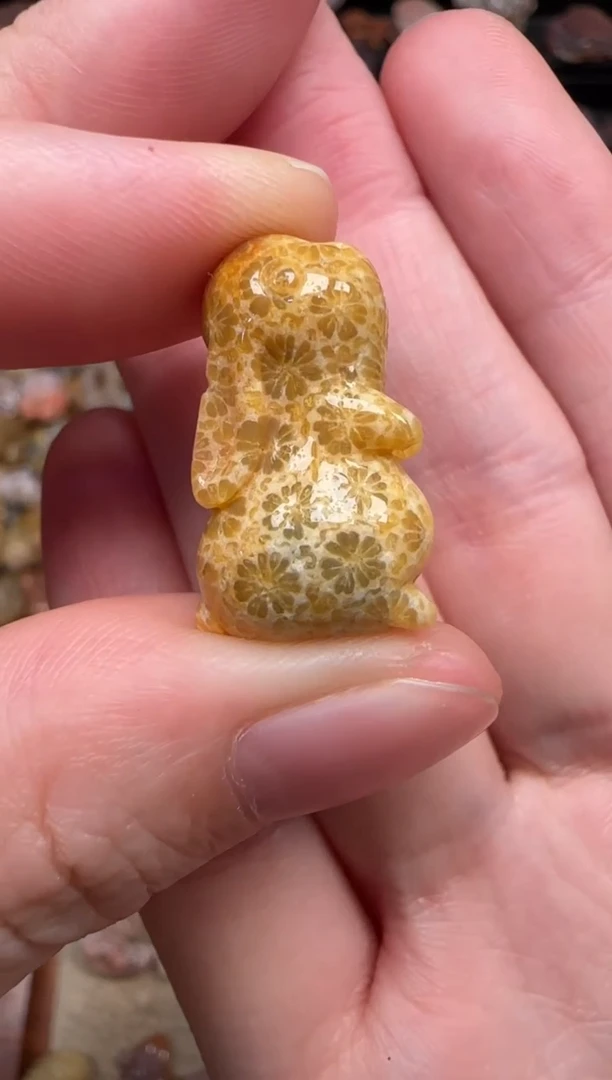 颈饰未镶嵌硅化珊瑚（珊瑚玉）162