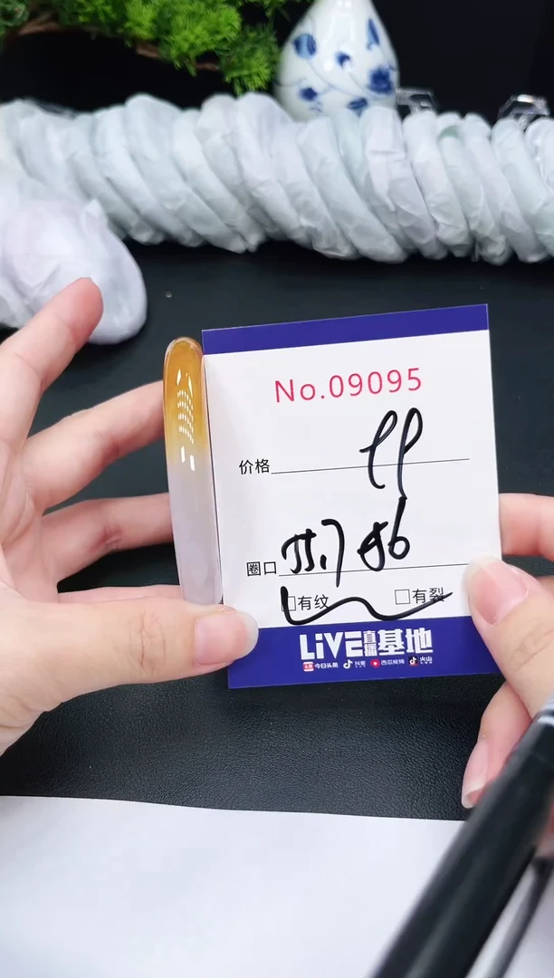 未镶嵌手镯翡翠9095