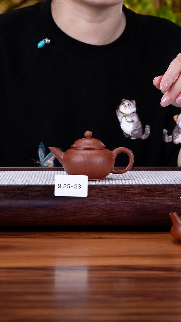 茶壶紫砂9.25-23  红降坡 水平特价100