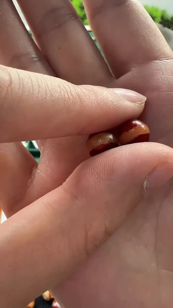 玛瑙/玉髓（覆膜）颈饰未镶嵌43.（微瑕随机发货）