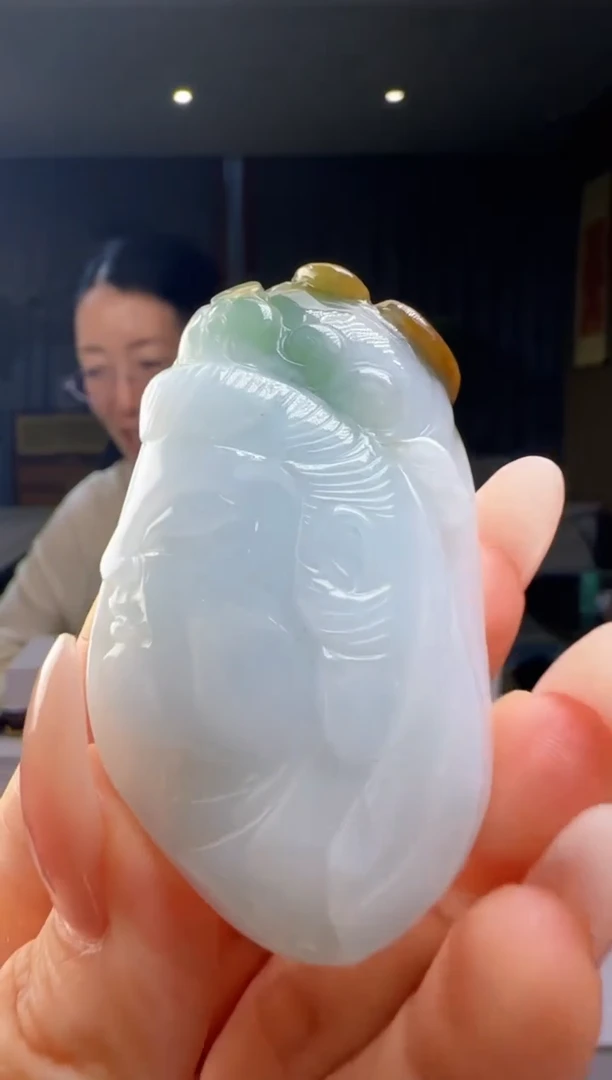 翡翠未镶嵌颈饰YJ@@WS1WX39040