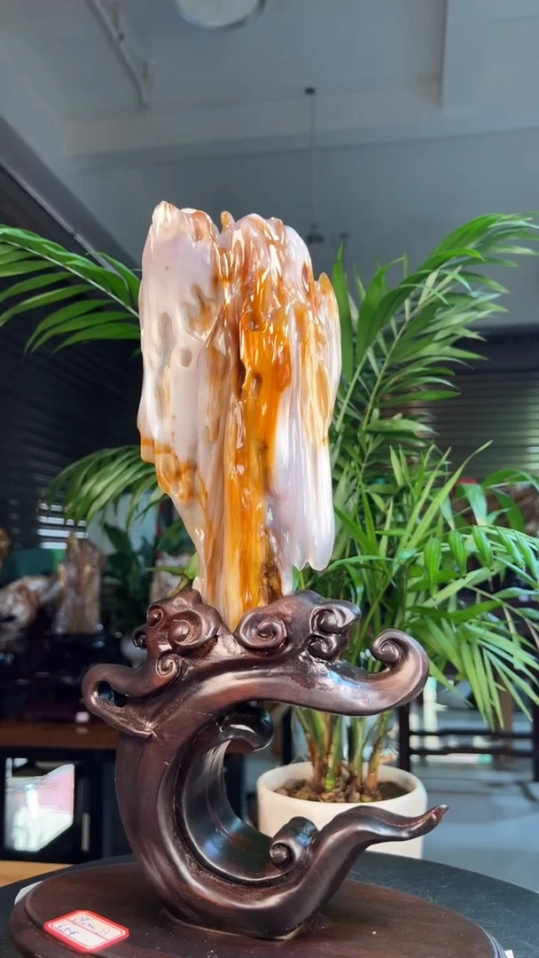 未镶嵌硅化玉（树化玉）珠宝奇石2928