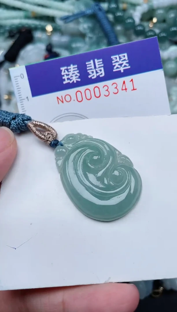 翡翠未镶嵌颈饰.0003341