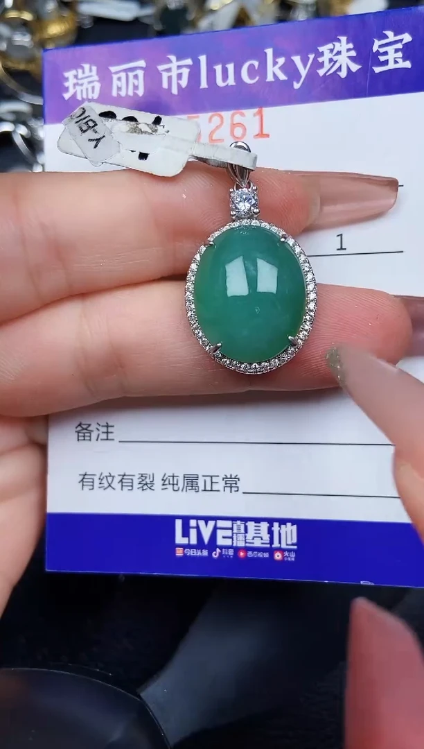 翡翠银S925镶嵌颈饰5261