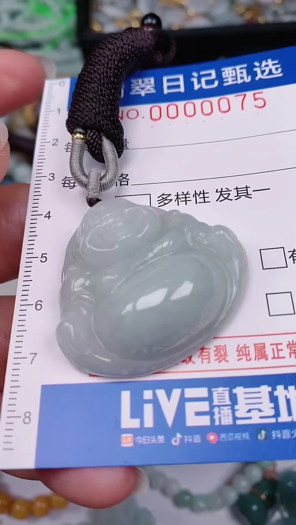 【闪购商品】翡翠颈饰未镶嵌00000075
