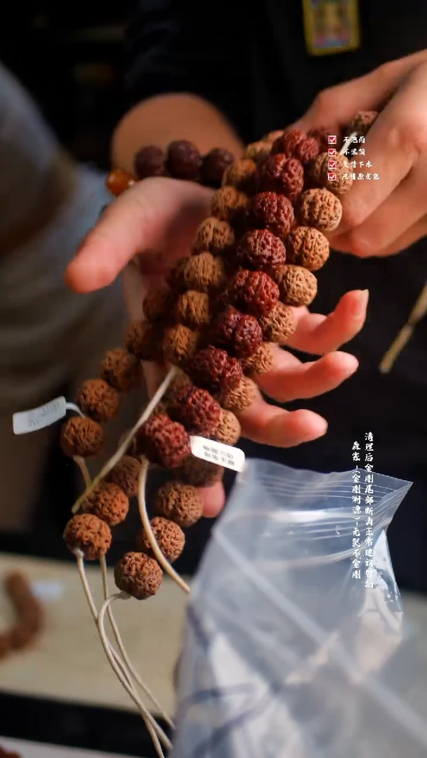 吊坠金刚菩提金刚菩提私人定制蚂蚁系列18-25尺