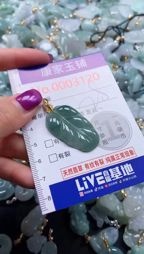 颈饰未镶嵌翡翠3120