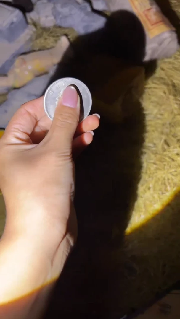 琪琪专属精品链接