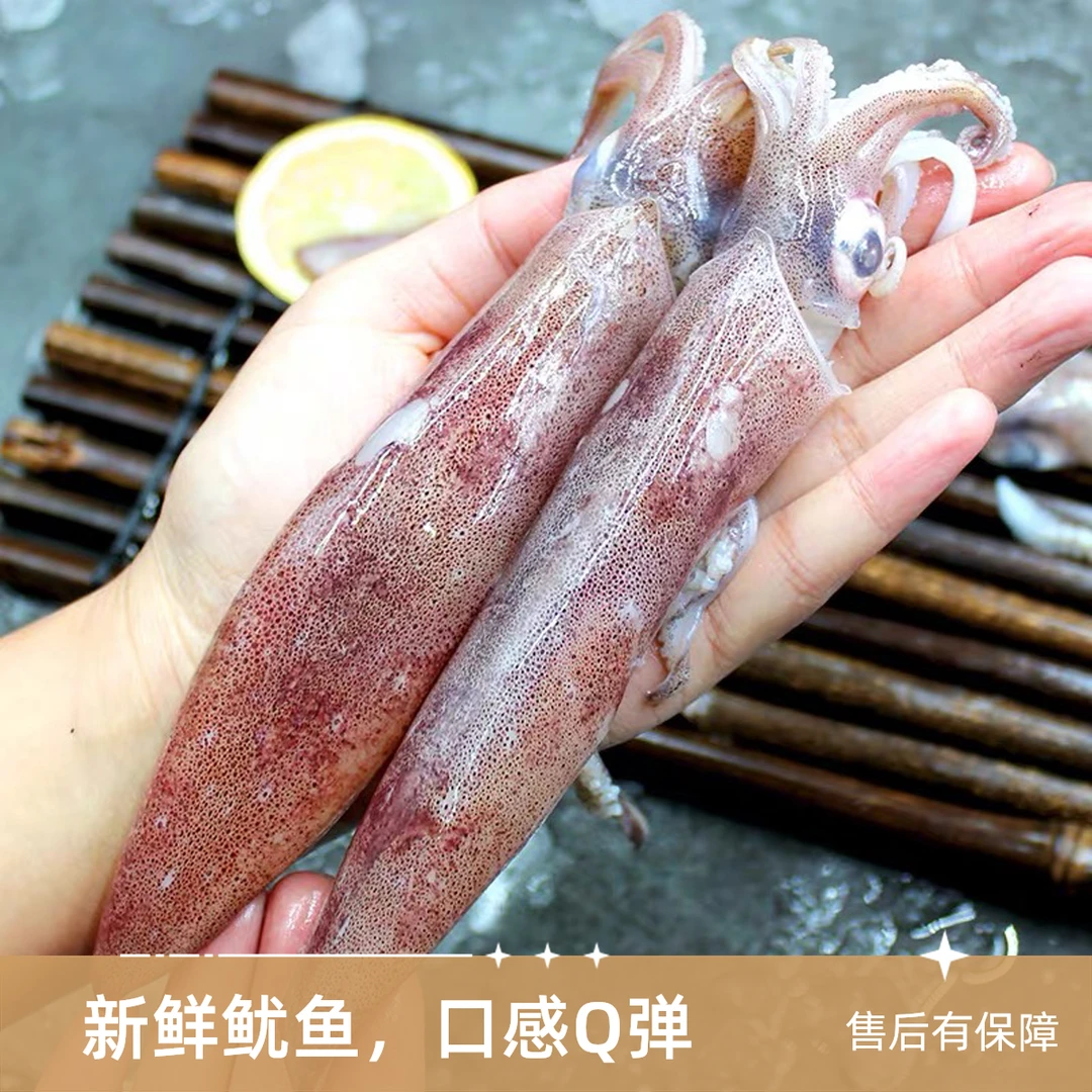 带籽火箭稍40一斤