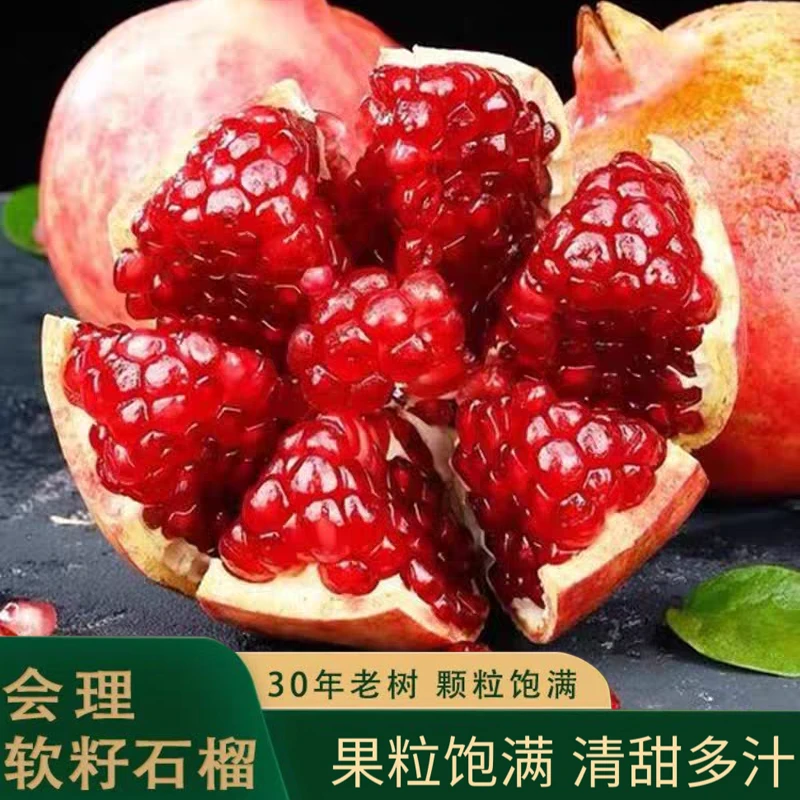 正宗会理突尼斯软籽石榴5/9斤爆甜多汁应季水果会理/昆明两仓发AL