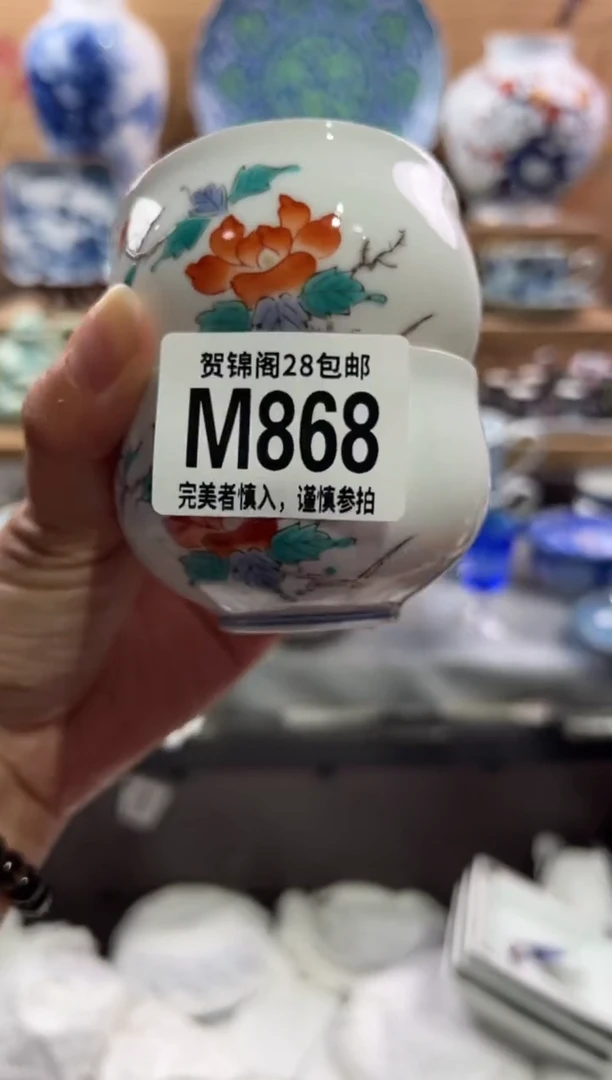 瓷片飛         M868