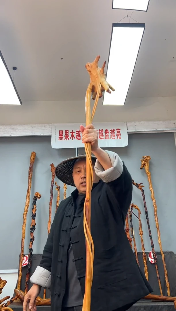 【闪购商品】黑果木其他黑果木210