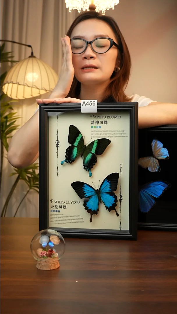 爱神凤蝶天堂凤蝶组合款(A4欧式黑框)A456