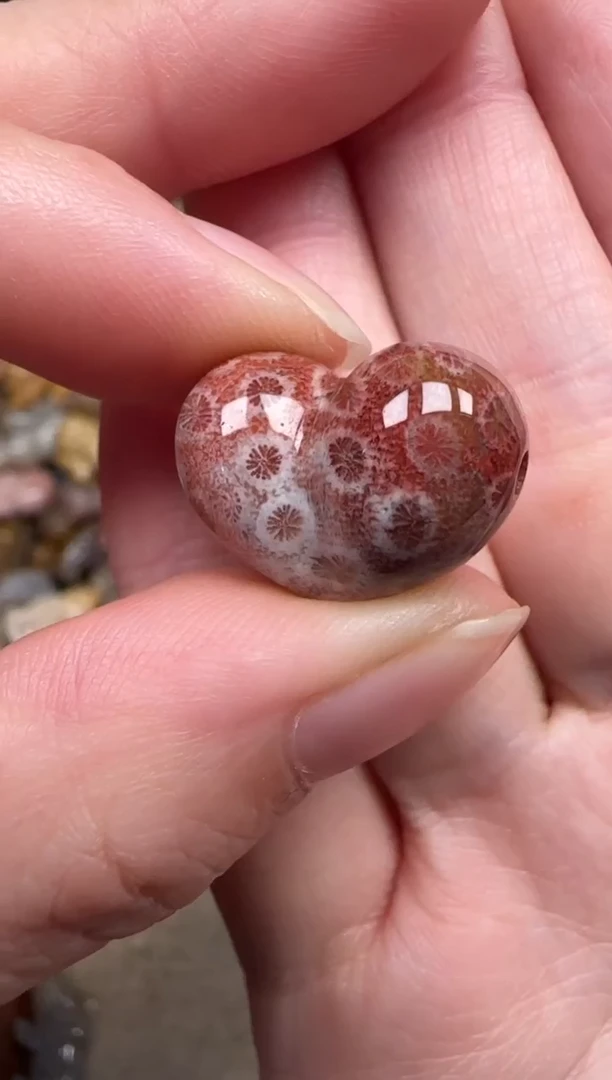 颈饰未镶嵌硅化珊瑚（珊瑚玉）638