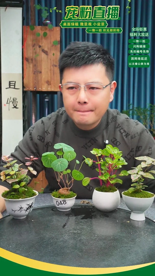 无花朵?*?苔藓微景观048号