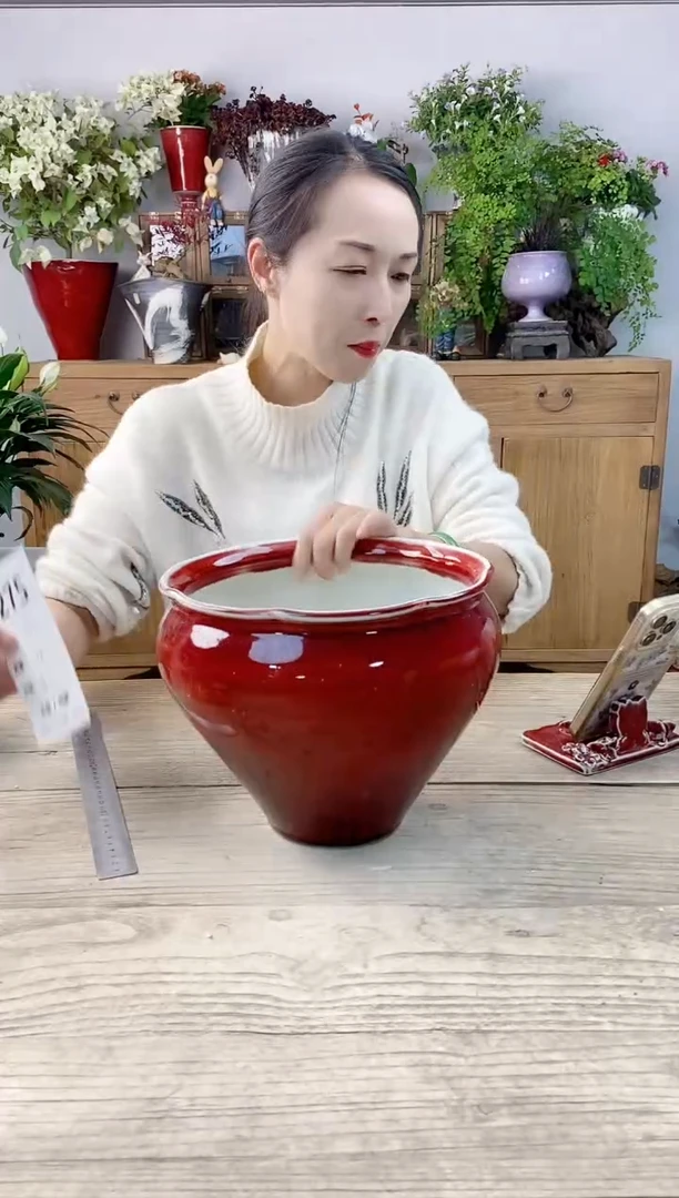 小玩子花盆直播号275