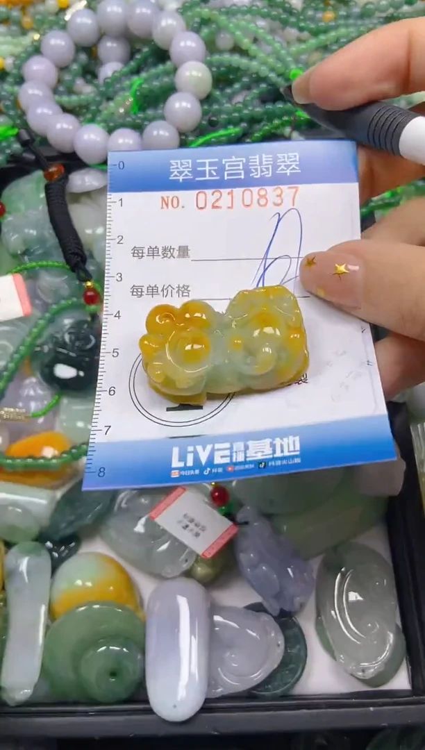 颈饰未镶嵌翡翠闪购C0210837