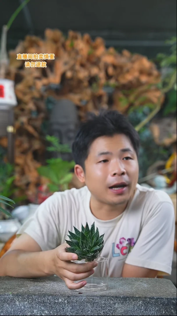 完全开放波露183+