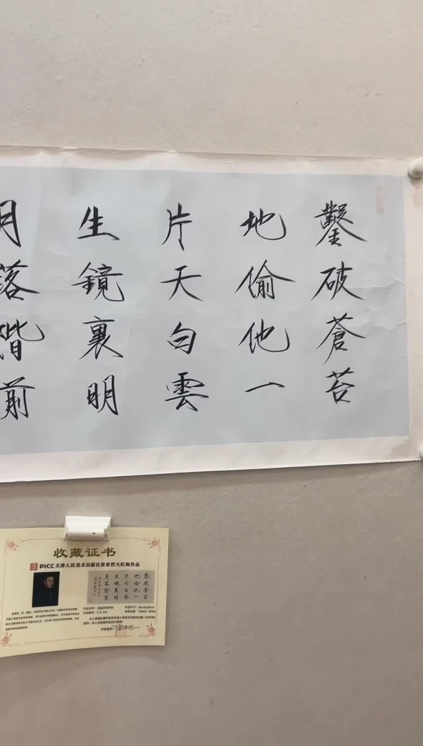书法CJZ书法作品4.5平尺带书