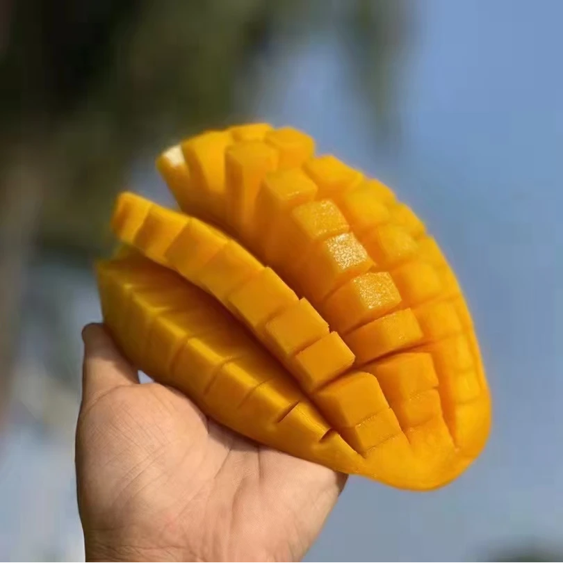 【海南金煌芒果】新鲜采摘香甜多汁果肉饱满应季热带水果软糯香甜