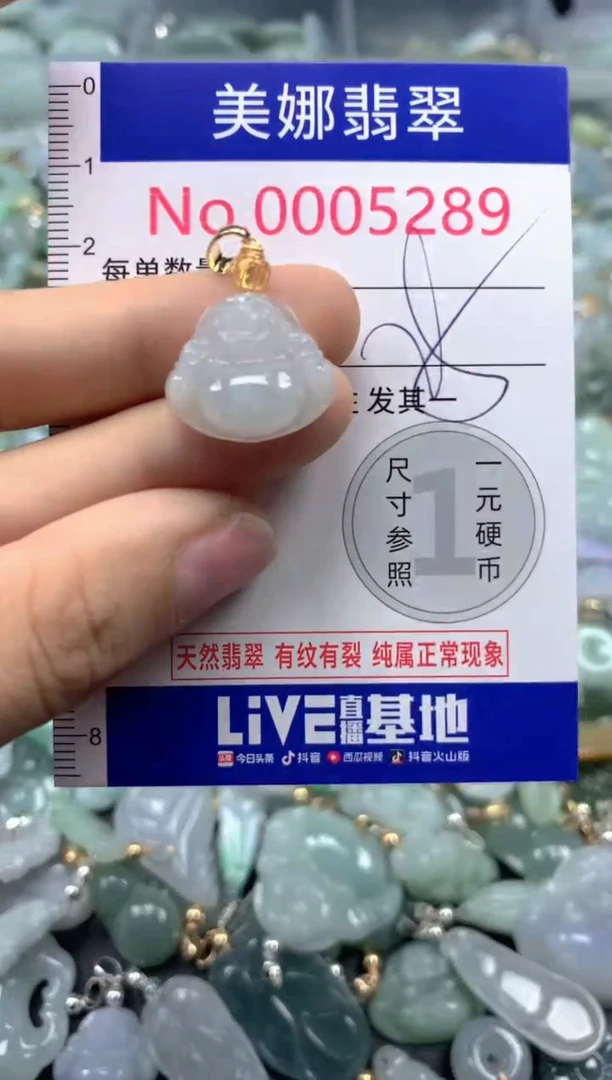 颈饰未镶嵌翡翠5289