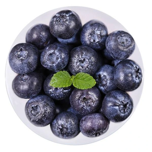 指鲜送 • 丹东巨无霸大蓝莓24mm+ 500g丹东蓝莓辽宁省丹东市